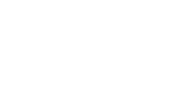 VisaPRO-blanc